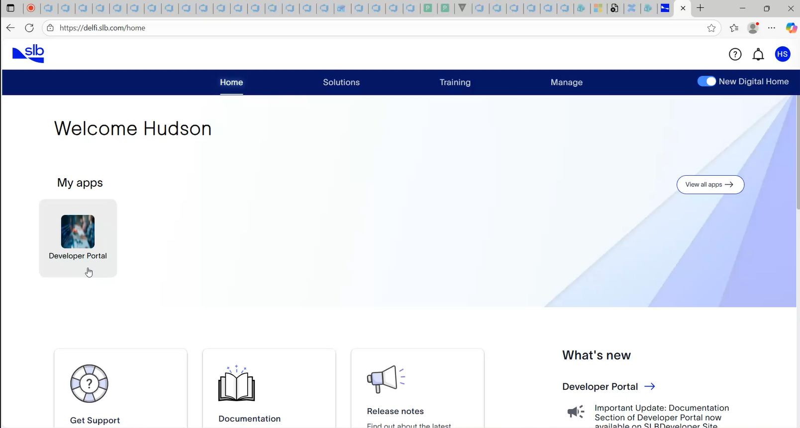 Launch Developer Portal